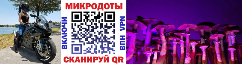 Галлюциногенные грибы ЛСД Монино